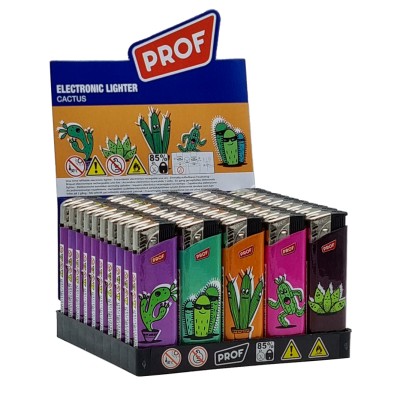 PROF ACCENDINI CACTUS
